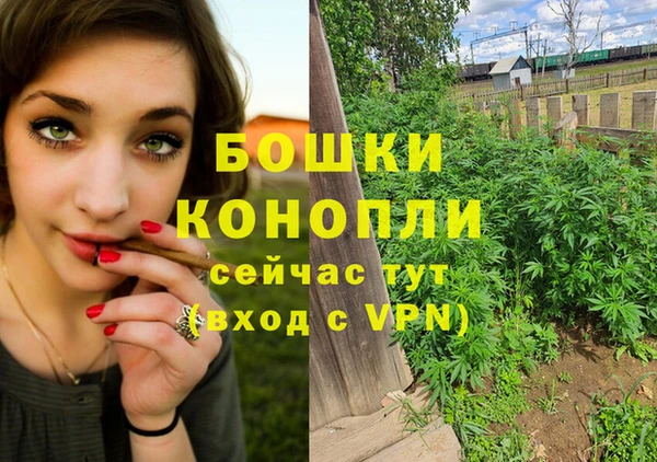 не бодяженный Михайлов