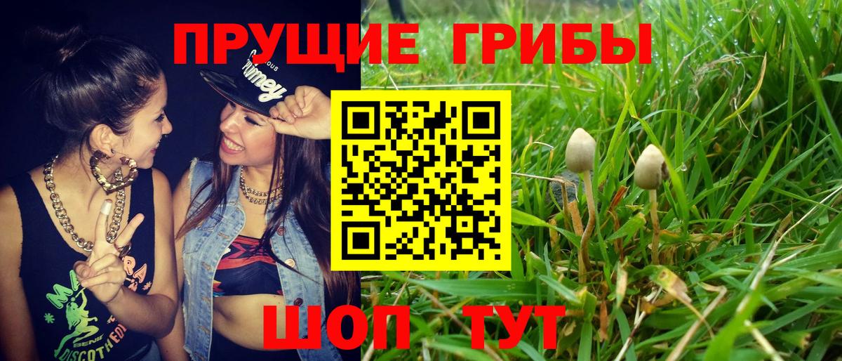 Галлюциногенные грибы мухоморы Ишимбай