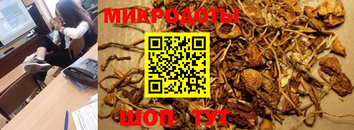 Псилоцибиновые грибы Cubensis  Галлюциногенные грибы Psilocybine cubensis  Ишимбай  Вход с VPN 