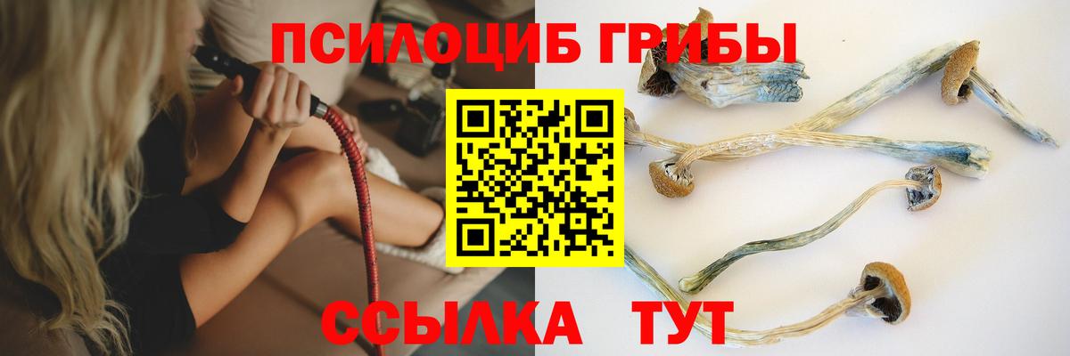 Псилоцибиновые грибы Psilocybine cubensis Ишимбай