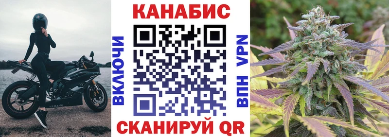 Конопля сатива  Ишимбай 